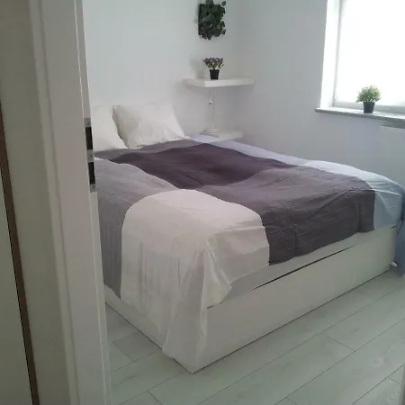 Apartment Apartament Lesny Zakatek 4 *