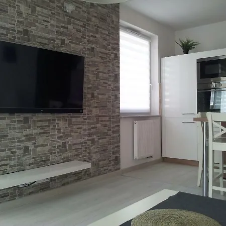 Apartament Lesny Zakatek 4 Apartment *